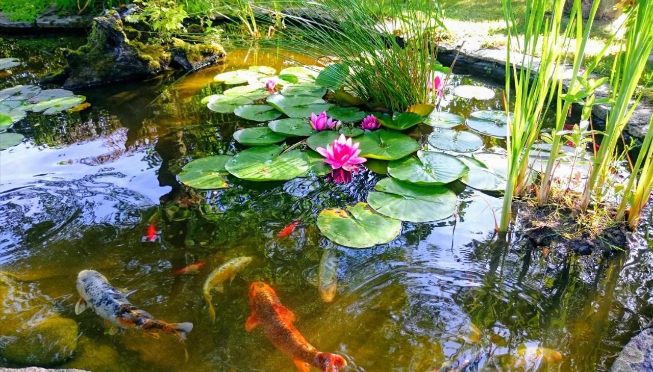 Gite Pause Au Jardin Villa Saint-Branchs Bagian luar foto