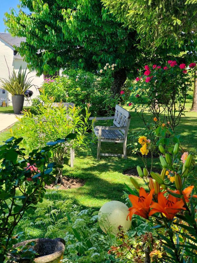 Gite Pause Au Jardin Piscine Chauffee Saint-Branchs Bagian luar foto
